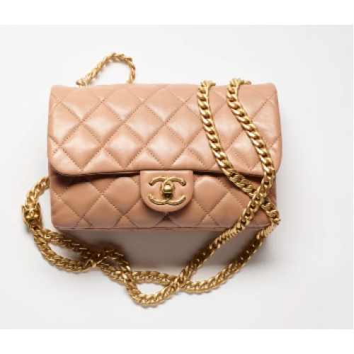 CHANEL SMALL FLAP BAG Lambskin Gold-Tone Metal AS3393 pink