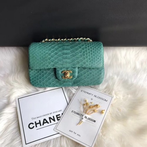 Chanel Mini Flap Bag Python Gold-Tone Metal A69900 green
