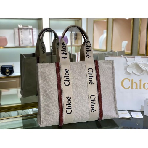 Chloe Cloth leather 6C025 brown