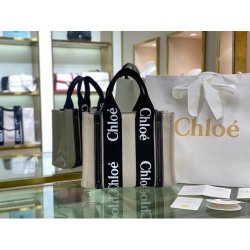 Chloe Cloth leather 6C027 black