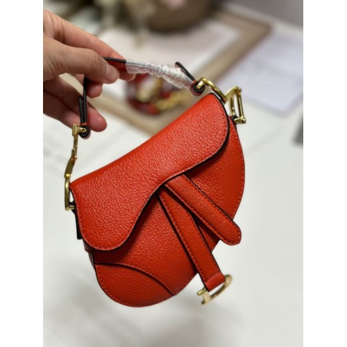 DIOR MICRO SADDLE BAG Antique Goatskin S5685CC orange