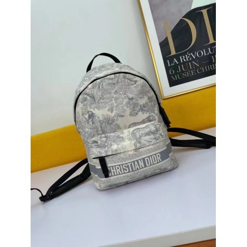 DIOR SMALL DIORTRAVEL BACKPACK M6108 grey