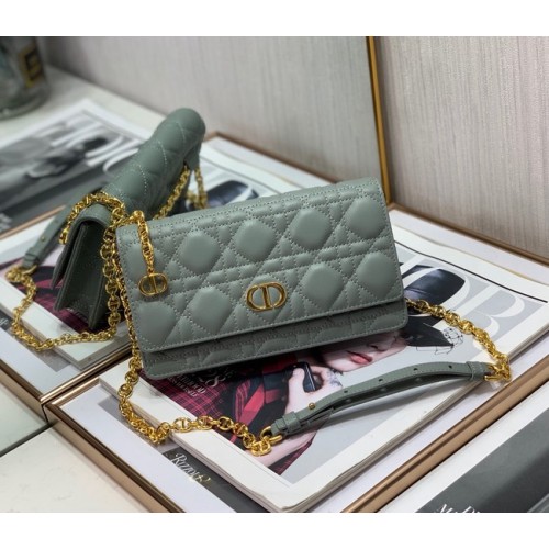 Dior BELT POUCH 2273 gray