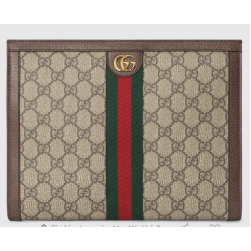 Gucci Ophidia pouch 625549 brown