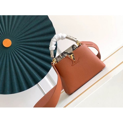 Louis Vuitton CAPUCINES Original Leather PM M96467 Brown