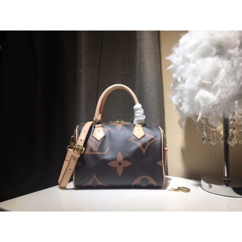 Louis Vuitton SPEEDY 25 M41111