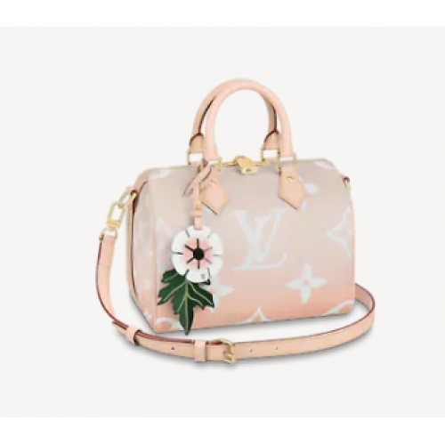 Louis Vuitton SPEEDY BANDOULIERE 25 M45722 Brume Gray