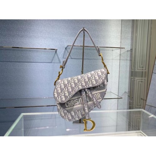 SADDLE BAG Dior Oblique Embroidered Velvet C0044 gray