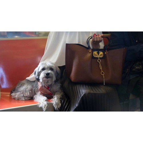 VALENTINO Origianl leather tote 2080 brown